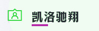 合作伙伴